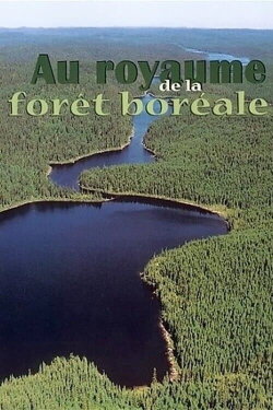 Au Royaume de la Forêt (2016) Au Royaume de la Forêt (2016)