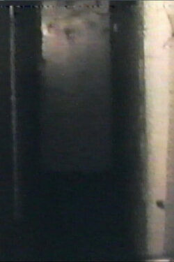 Audio and Visual Experiment 8 (2023)