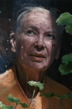 Aunt Iki (2022)