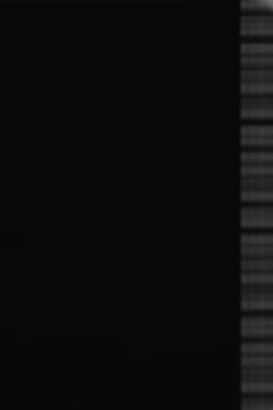 Auricon Test #2 (2020)