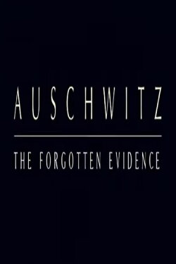 Auschwitz: The Forgotten Evidence (2004)