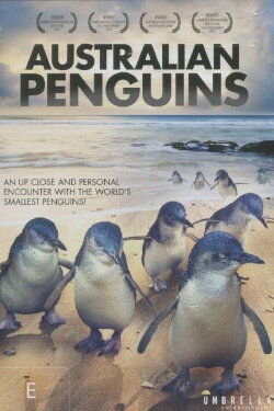 Australian Penguins (2018) Australian Penguins (2018)