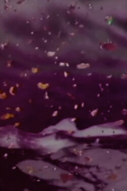 Autumn (1996)