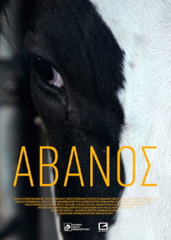 Avanos (2018) Avanos (2018)
