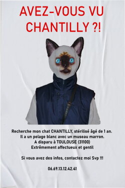 AVEZ-VOUS VU CHANTILLY ?! (2023) AVEZ-VOUS VU CHANTILLY ?! (2023)