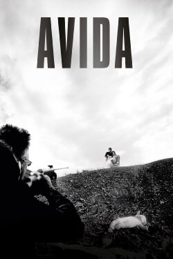 Avida (2006) Avida (2006)