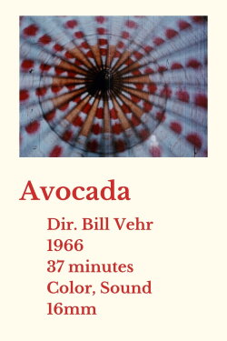 Avocada (1966)
