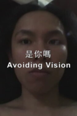Avoiding Vision (2010)