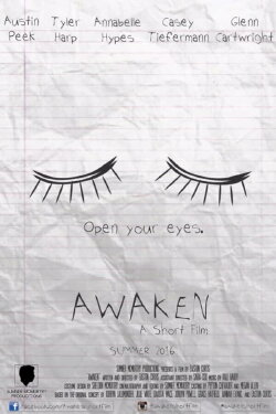 Awaken (2016) Awaken (2016)