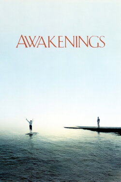 Awakenings (1990) Awakenings (1990)