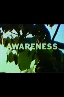 Awareness (1968)