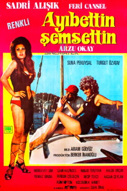 Ayıbettin Şemsettin (1971) Ayıbettin Şemsettin (1971)