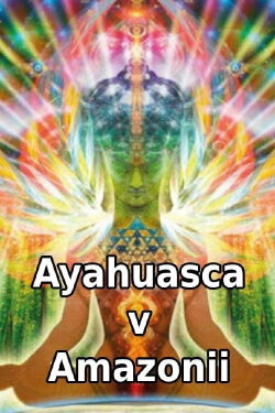 Ayahuasca v Amazonii (2005)