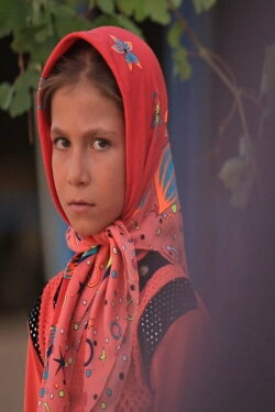 Azadeh (2019) Azadeh (2019)
