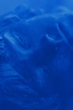 Azul no Azul (2022) Azul no Azul (2022)