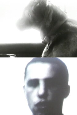 B. Stéphane (2000)