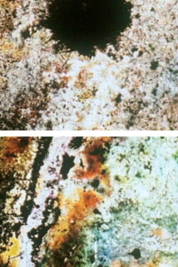 Baby Dream II (2001) Baby Dream II (2001)