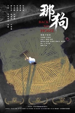 Back to Home (2016)