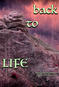 Back To Life (2021)