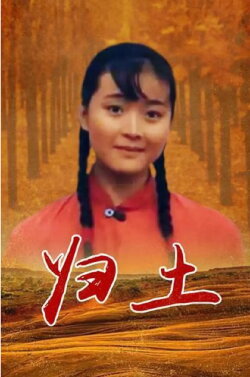 Back to Roots (1995)