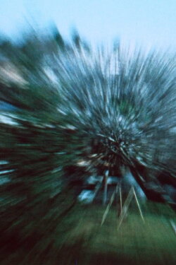 Backyard (1982) Backyard (1982)