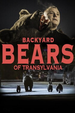 Backyard Bears of Transylvania (2023) Backyard Bears of Transylvania (2023)