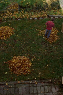 Backyard on Saint Rose (2020)