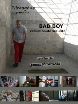 Bad Boy (2012)