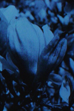 Badinerie (1989) Badinerie (1989)