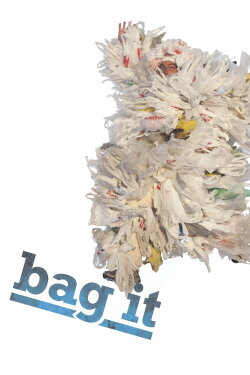 Bag It (2011) Bag It (2011)