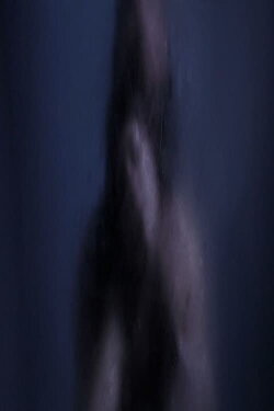 Baisers Nocturnes (2014)