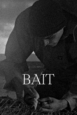 Bait (2019) Bait (2019)