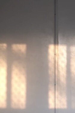 Bait Al-Wurud (2019)