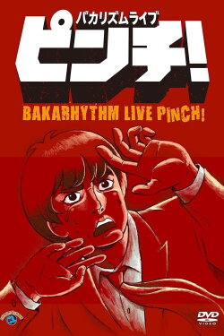 Bakarhythm Live 「Pinch!」 (2011) Bakarhythm Live 「Pinch!」 (2011)