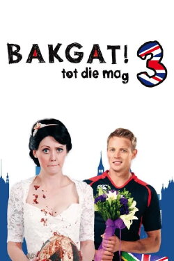 Bakgat 3 (2013)