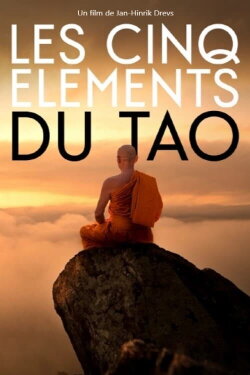 Balance of the Five Elements (2021) Balance of the Five Elements (2021)