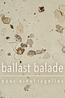 Ballast Stowaways Dinoflagellates (2019) Ballast Stowaways Dinoflagellates (2019)