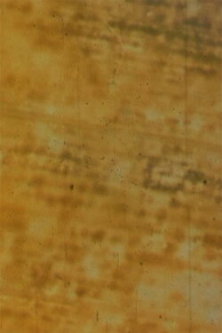 Bamboo (2007)