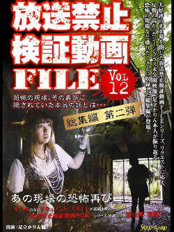 Banned Video File Vol. 12 (2011) Banned Video File Vol. 12 (2011)