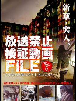 Banned Video File Vol. 6 (2011)