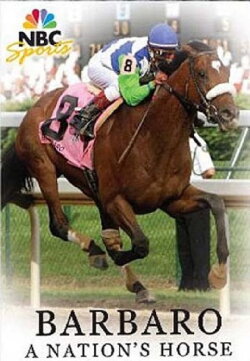 Barbaro: A Nation's Horse (2007) Barbaro: A Nation's Horse (2007)