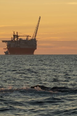 Barents Expedition (2019)