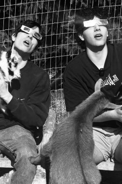 Barnyard Eclipse Mukbang (2024)