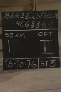 Barselstuen (1976)
