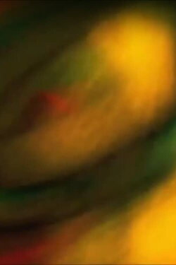 Basmati (2002) Basmati (2002)