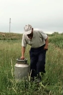 Bastau (2013) Bastau (2013)