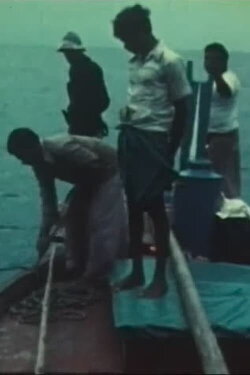Bateaux et modes de pêche aux Maldives (1977) Bateaux et modes de pêche aux Maldives (1977)