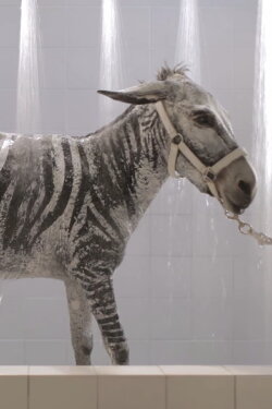 Bath Time (2012)