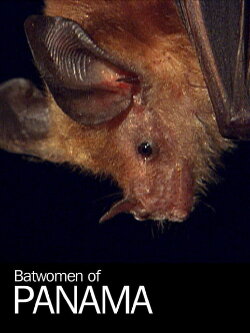Batwomen of Panama (2009) Batwomen of Panama (2009)