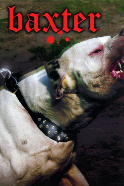 Baxter (1989) Baxter (1989)